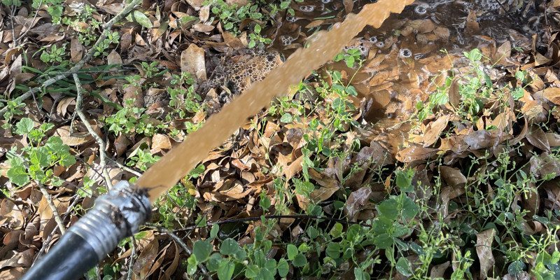 Water Quality Testing in Ocala, Florida